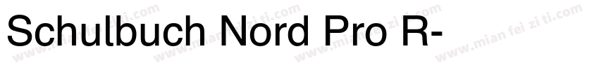 Schulbuch Nord Pro R字体转换
